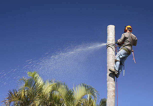 Soil Testing and Treatment in Emeryville, CA
